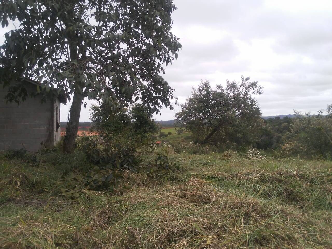 Terreno, 6460 m² - Foto 1