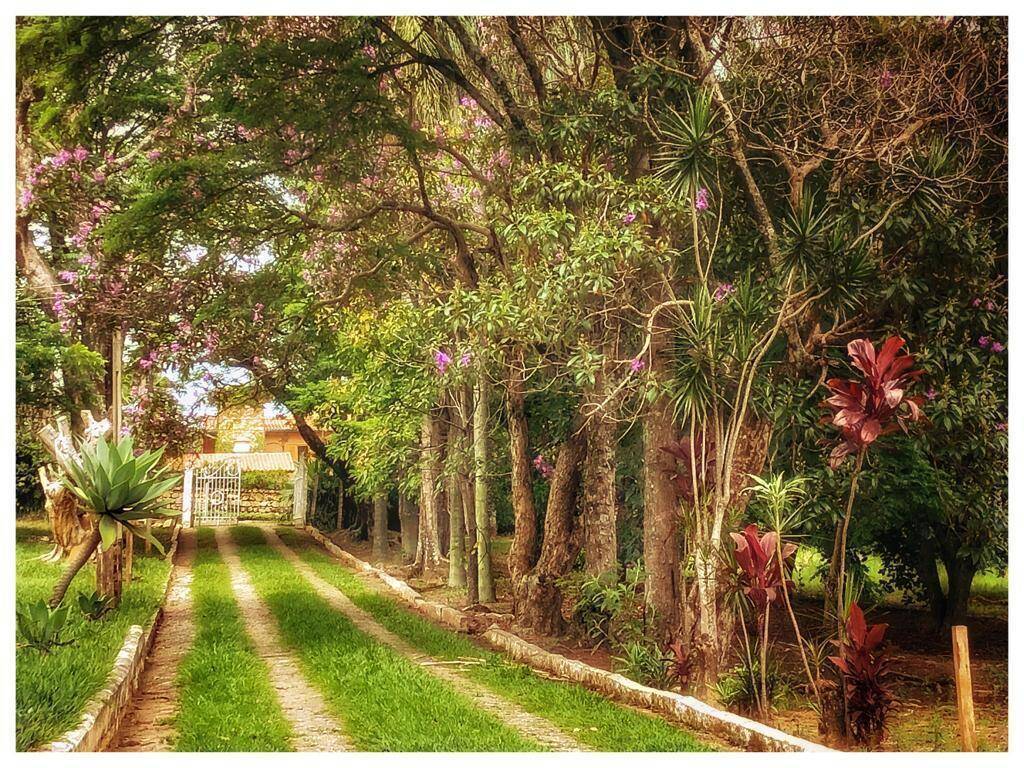 Terreno, 1 hectares - Foto 4