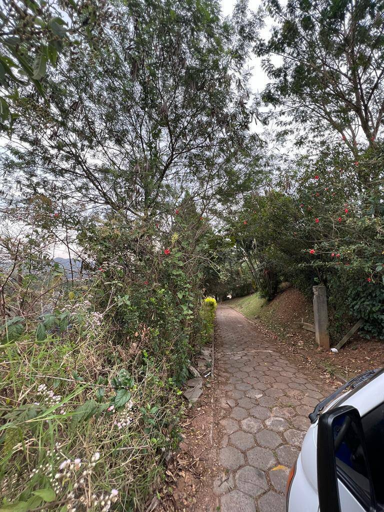 Depósito-Galpão, 5000 m² - Foto 24