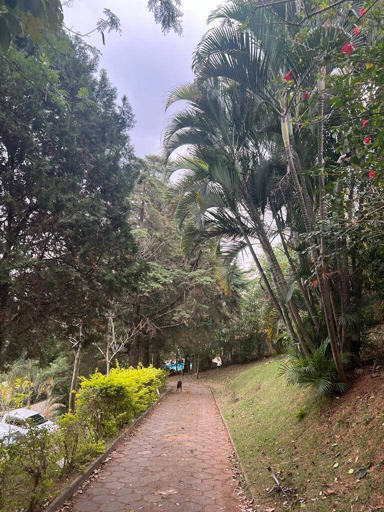 Depósito-Galpão, 5000 m² - Foto 26