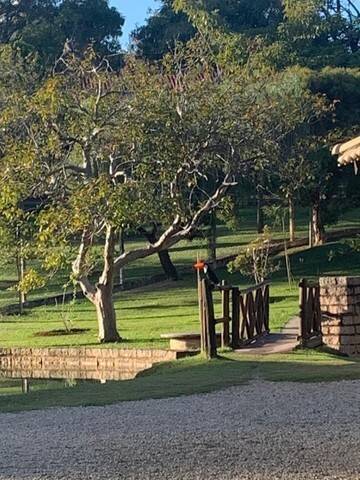 Depósito-Galpão, 400 m² - Foto 19