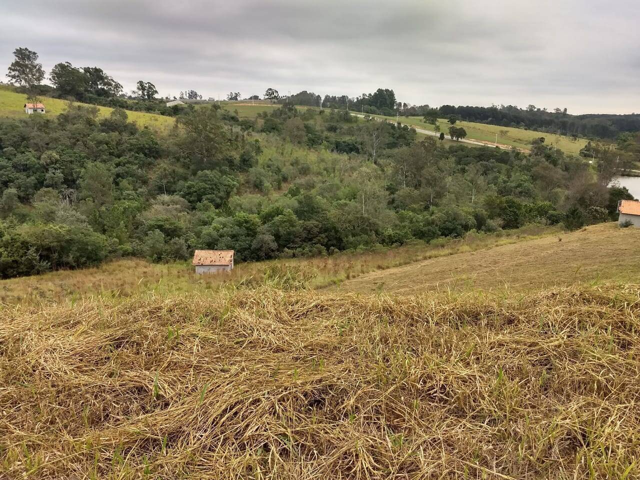 Terreno, 6240 m² - Foto 5