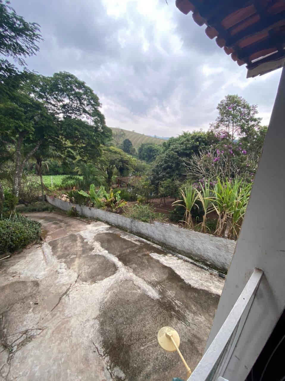 Chácara, 4 quartos, 4000 m² - Foto 25