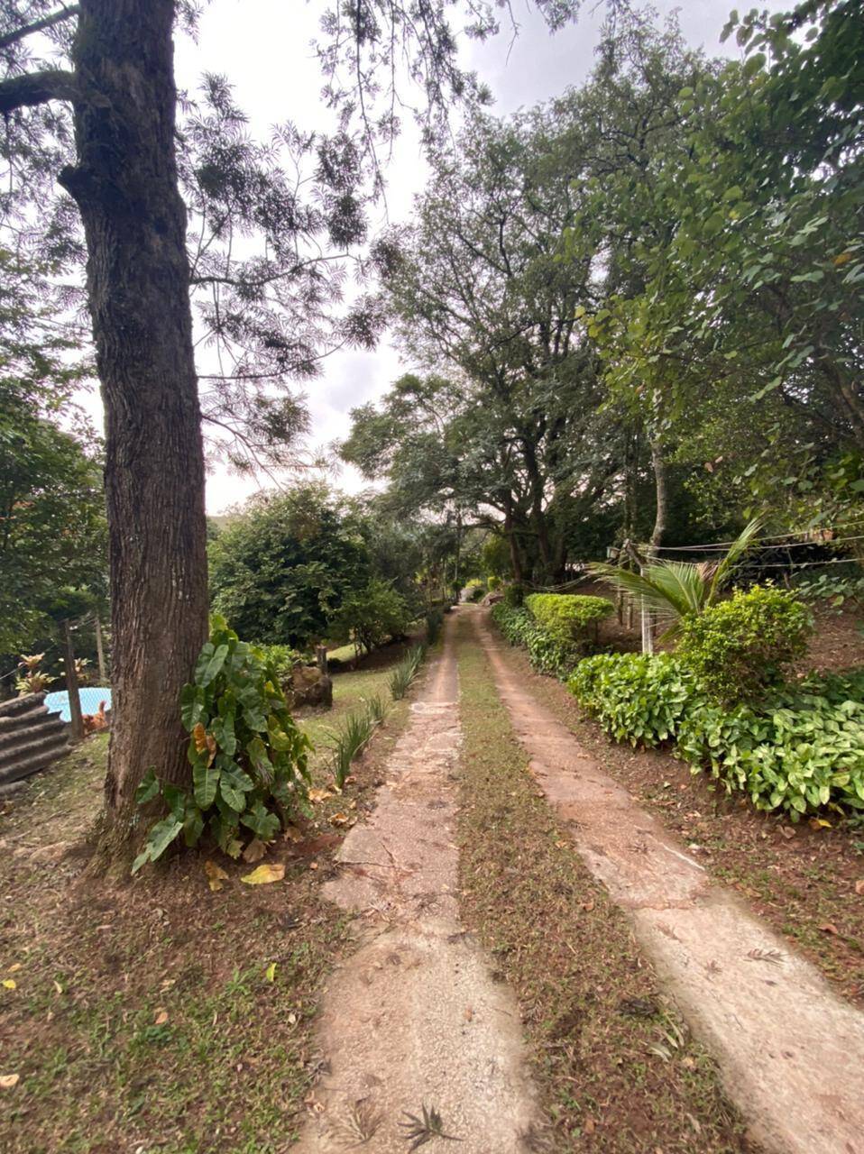 Chácara, 4 quartos, 4000 m² - Foto 26