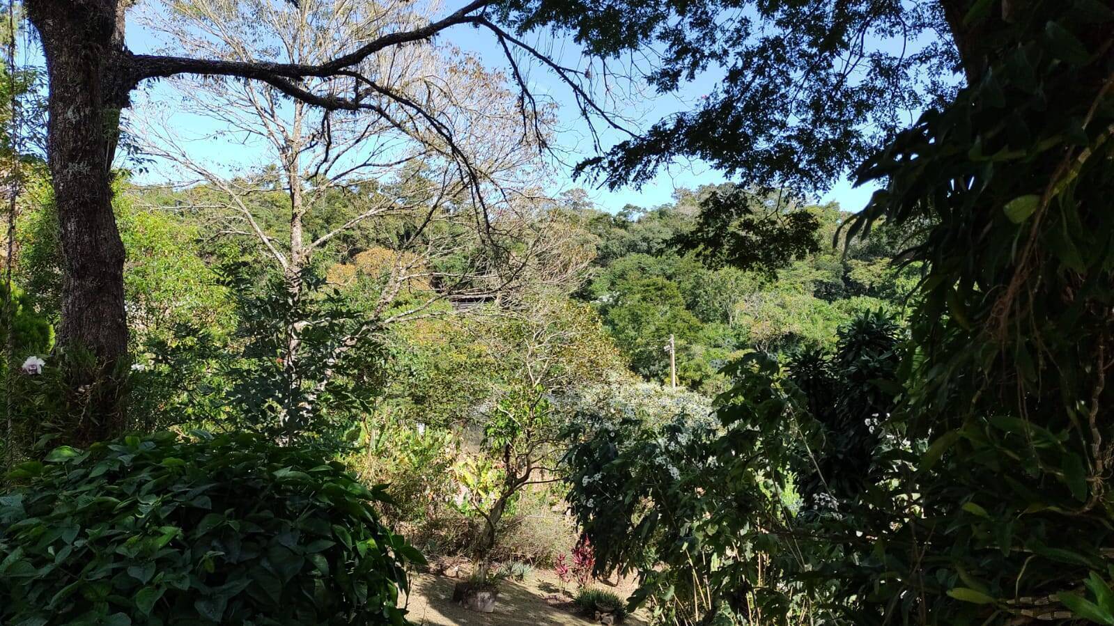 Chácara, 4 quartos, 4000 m² - Foto 27