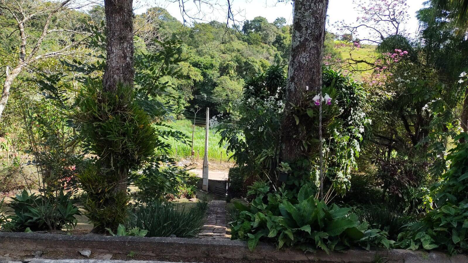 Chácara, 4 quartos, 4000 m² - Foto 29