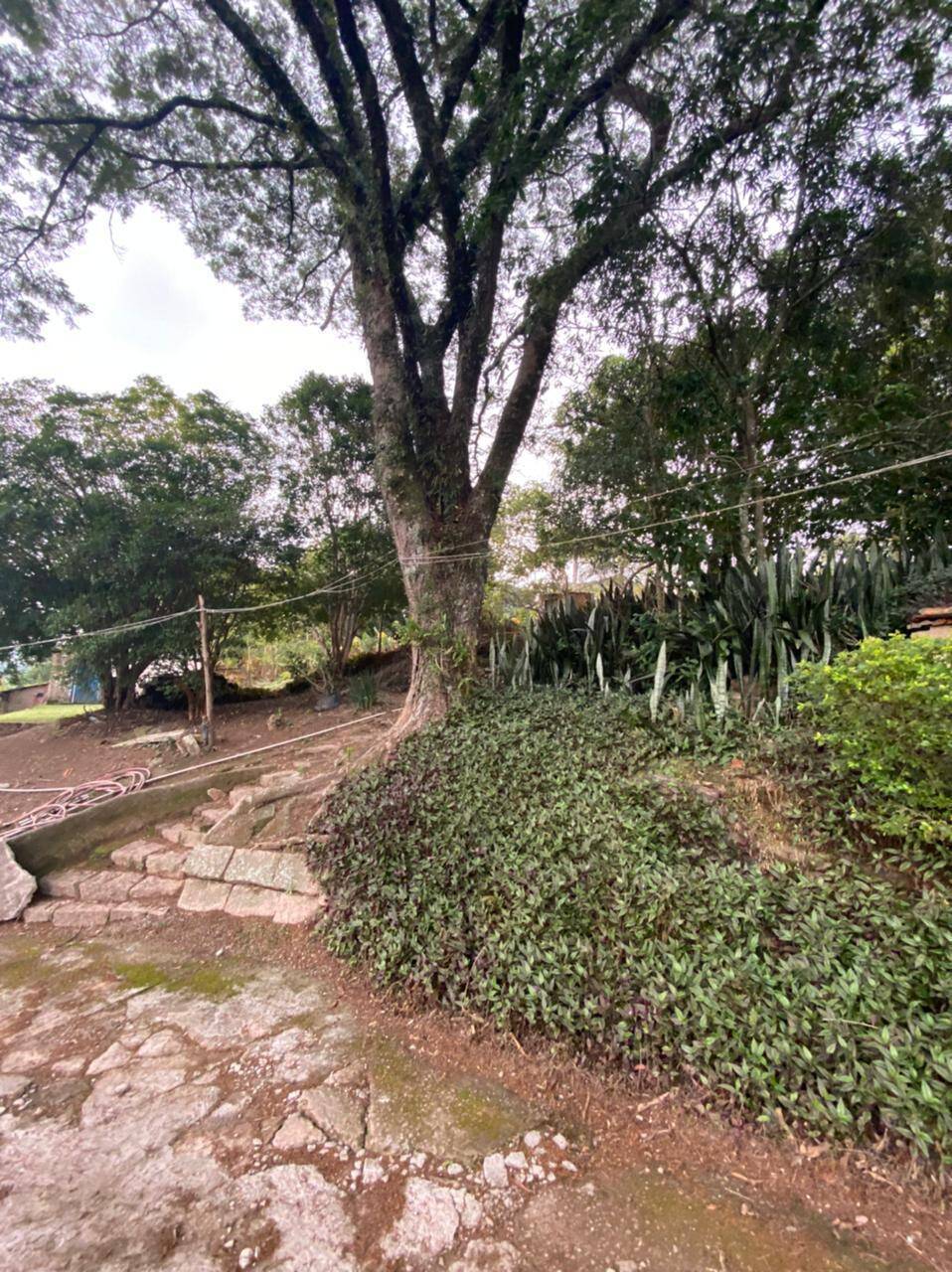 Chácara, 4 quartos, 4000 m² - Foto 31