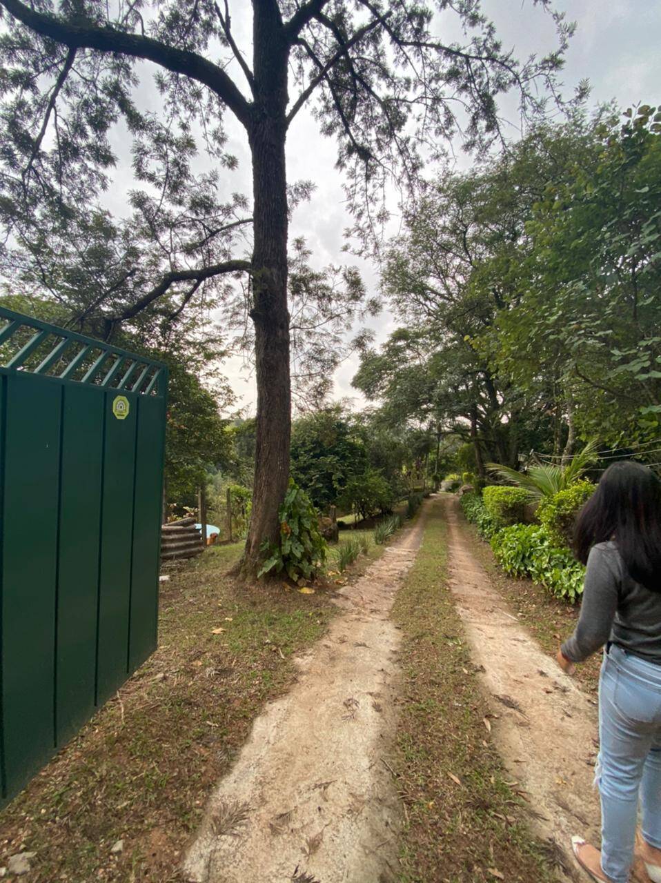Chácara, 4 quartos, 4000 m² - Foto 34