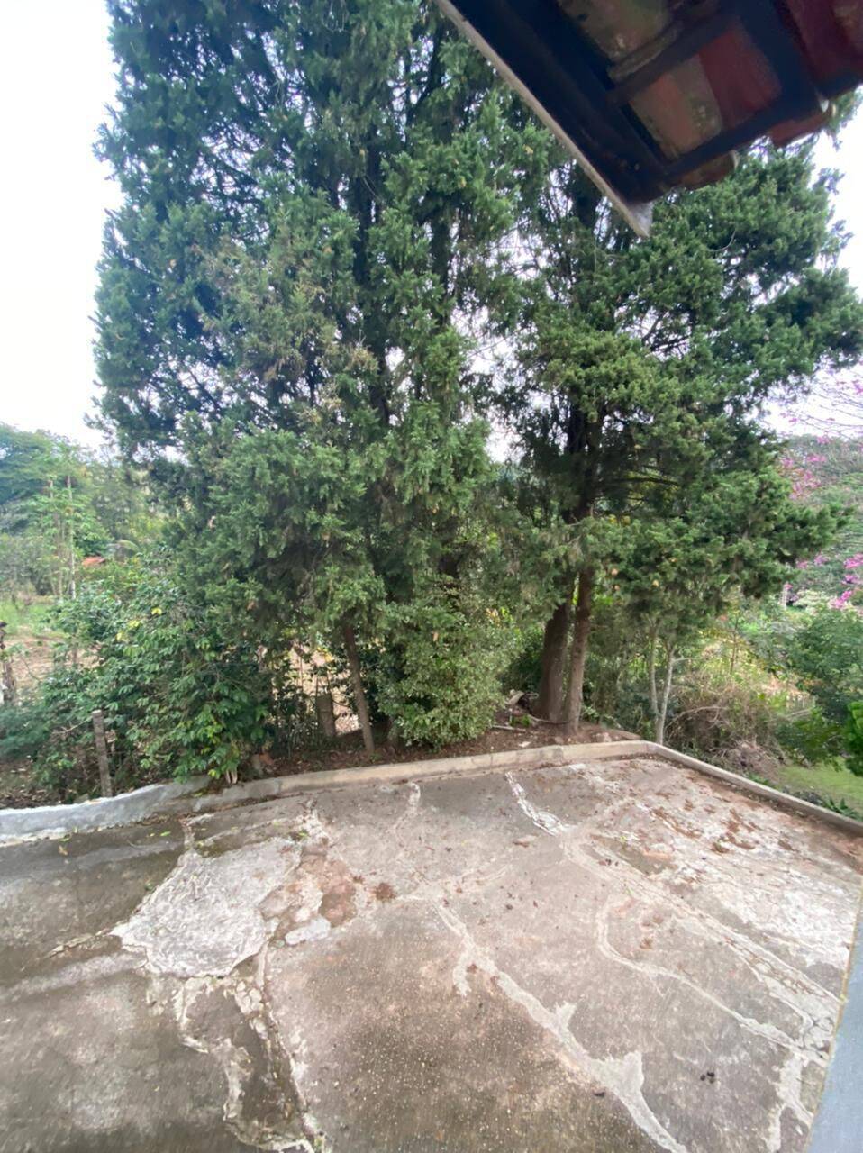 Chácara, 4 quartos, 4000 m² - Foto 35
