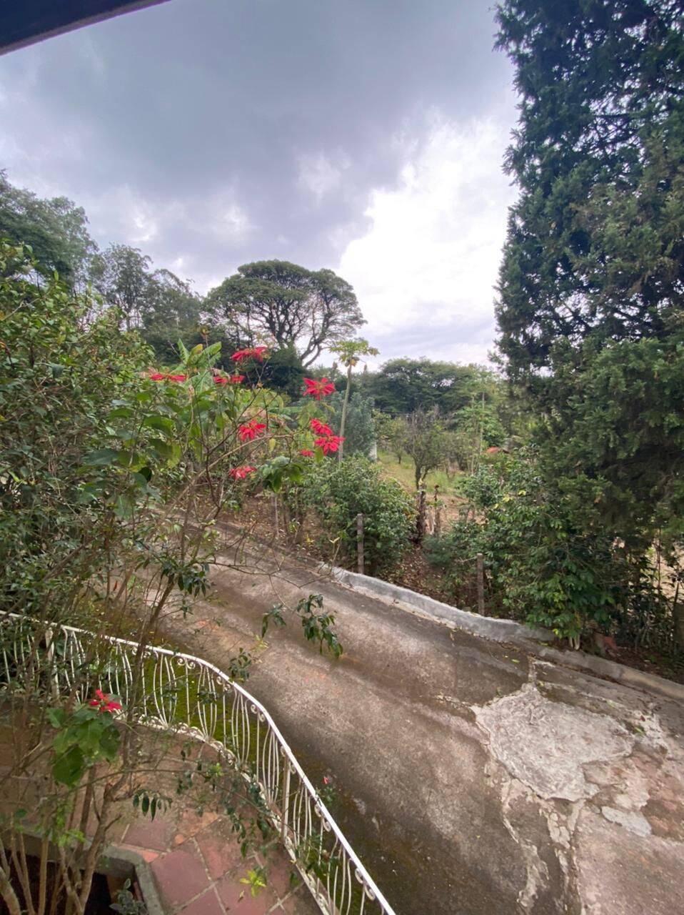 Chácara, 4 quartos, 4000 m² - Foto 36