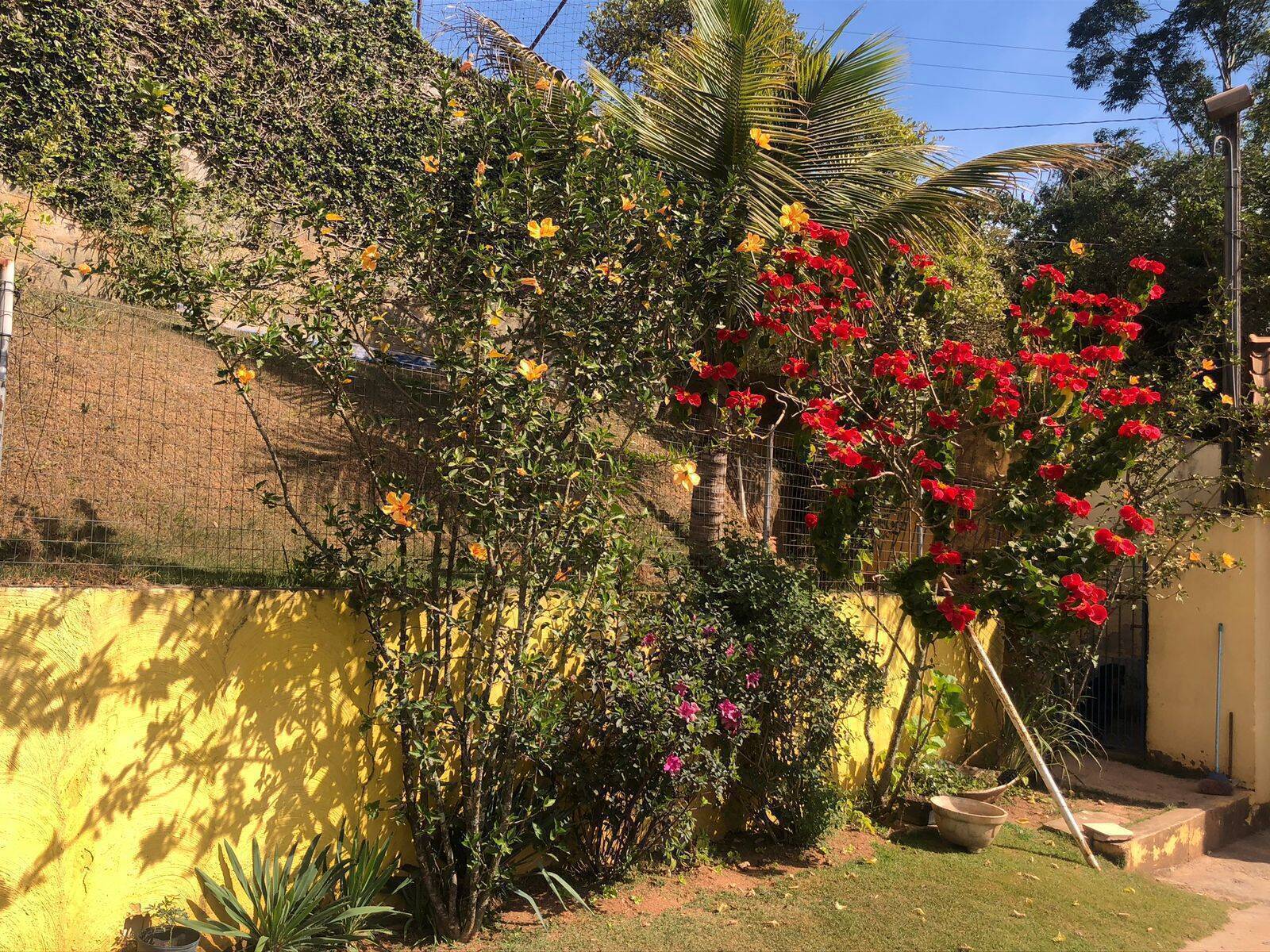 Chácara à venda com 3 quartos, 2500m² - Foto 17
