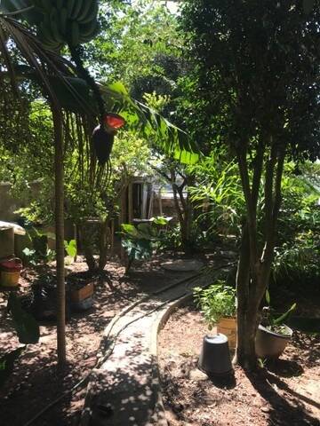 Casa à venda com 4 quartos, 336m² - Foto 9