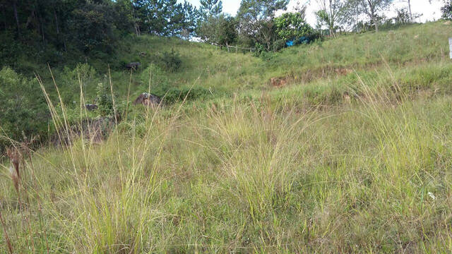 Terreno à venda, 17537m² - Foto 3