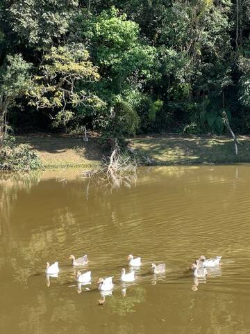 Terreno, 600 m² - Foto 14