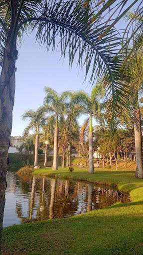 Casa de Condomínio, 3 quartos - Foto 15