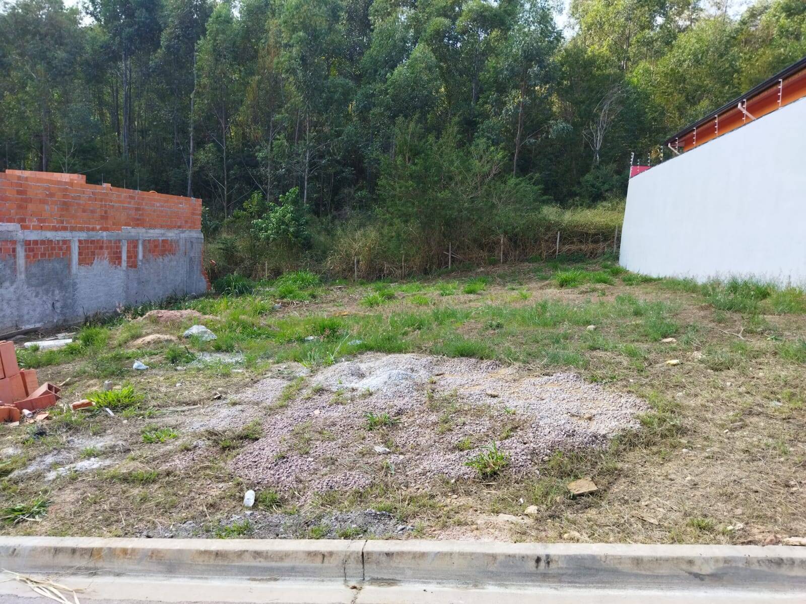 Terreno, 250 m² - Foto 1