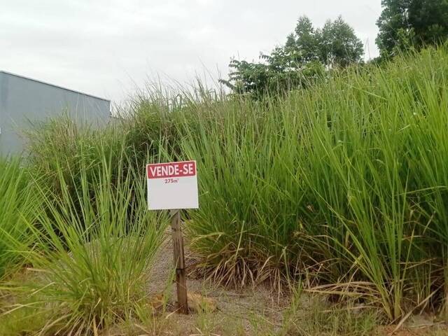 #1795 - Terreno para Venda em Itupeva - SP - 1