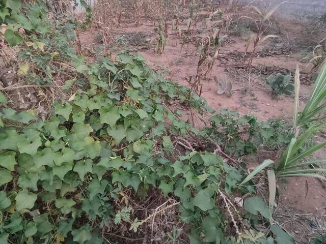 Terreno para Venda em Jundiaí - 1