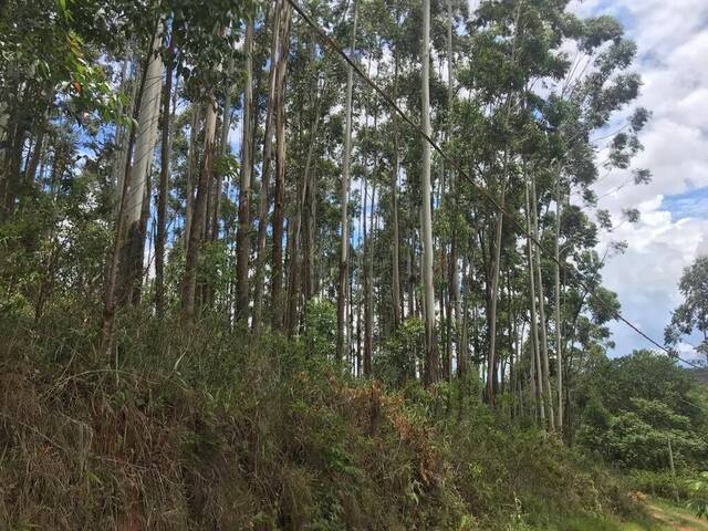 #1941 - Área para Incorporação para Venda em Jundiaí - SP - 3