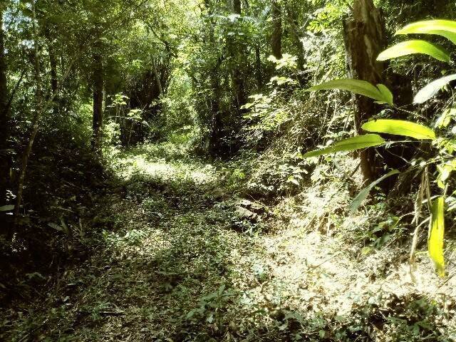 #2014 - Terreno para Venda em Jundiaí - SP - 2