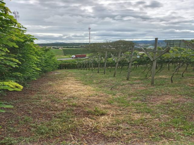 Área para Incorporação para Venda em Jundiaí - 3