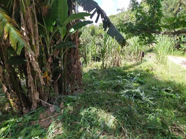 Venda em Estância São Paulo - Campo Limpo Paulista