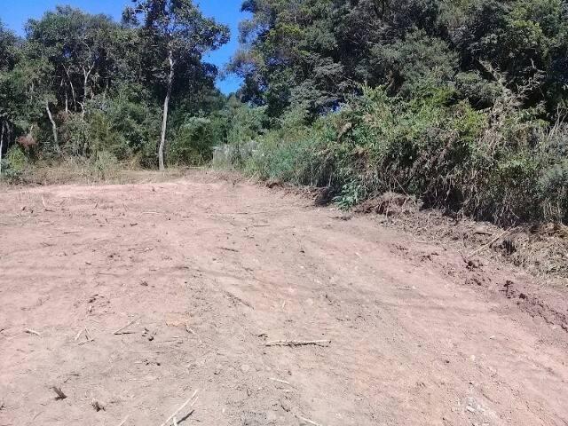 #544 - Terreno para Venda em Jarinu - SP - 1