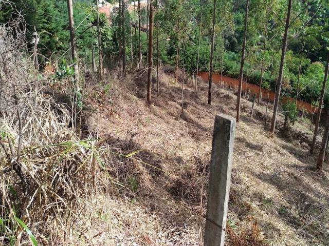 #595 - Terreno para Venda em Campo Limpo Paulista - SP - 2