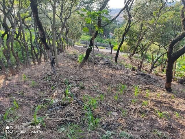 Terreno para Venda em Várzea Paulista - 4