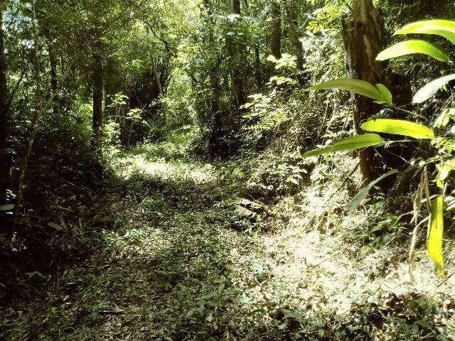 Terreno para Venda em Jundiaí - 1