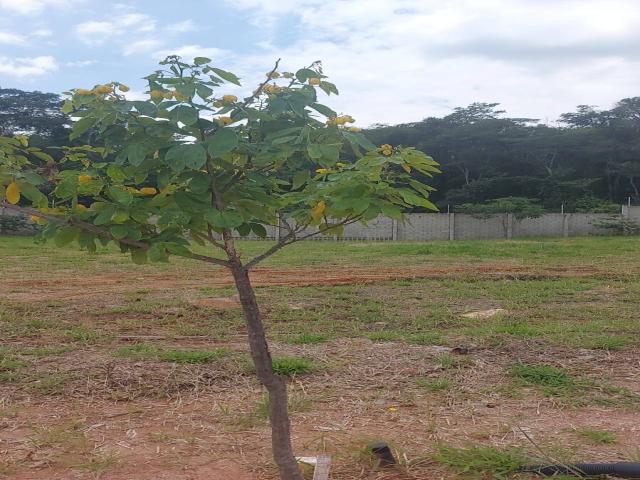 Terreno em condomínio para Venda em Itupeva - 3